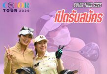 SINGHA YUZU LEMON SODA @ ROYAL HILLS